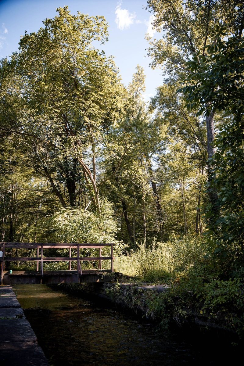 A small wooden footbridge crosses the stream among trees