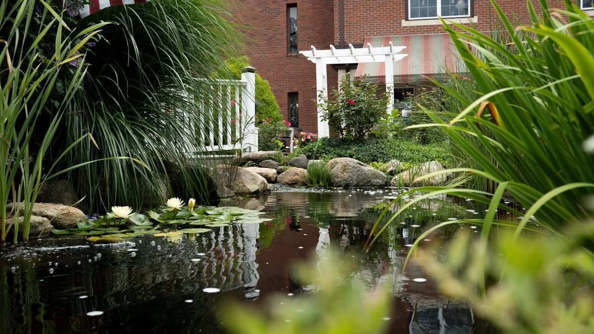 Garden pond with a building and a gazebo behind it at Jerome Home
