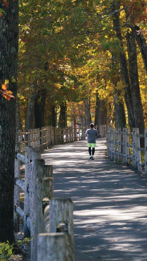 The Farmington Canal Heritage Trail in Farmington, photographed by Legend Photo & Film