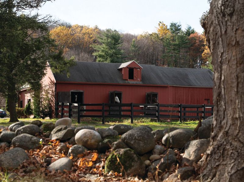 Horses in a barn in Granby, photographed by Legend Photo & Film