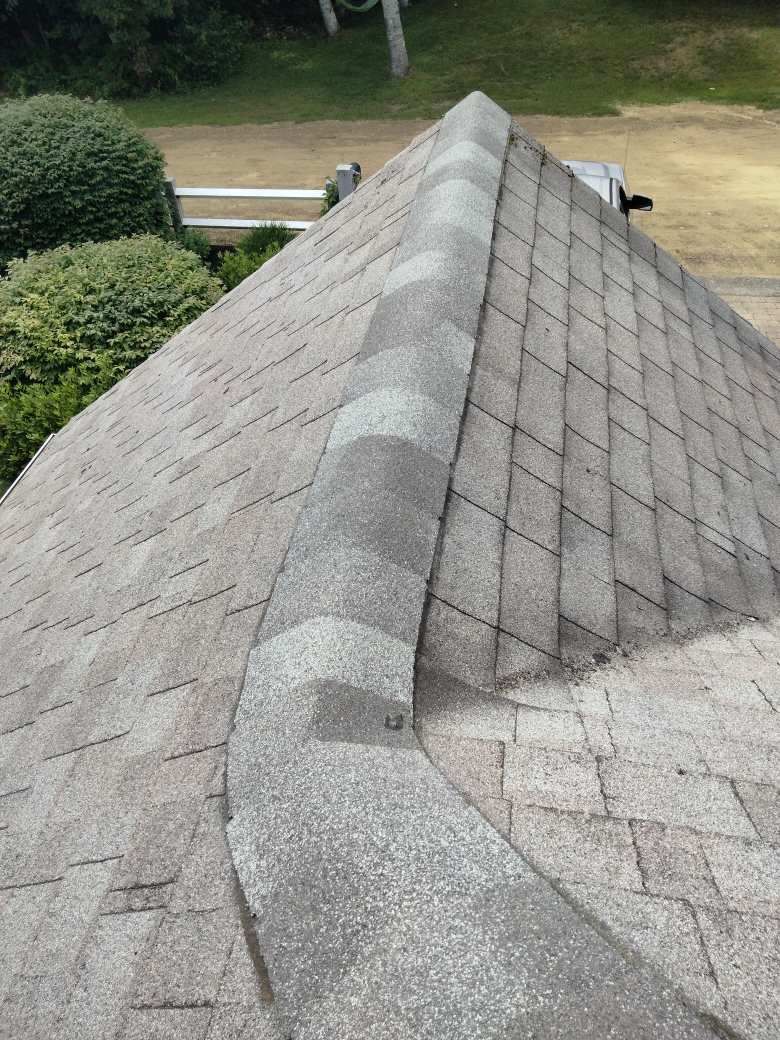 roof