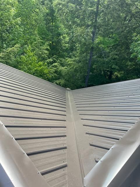 roof