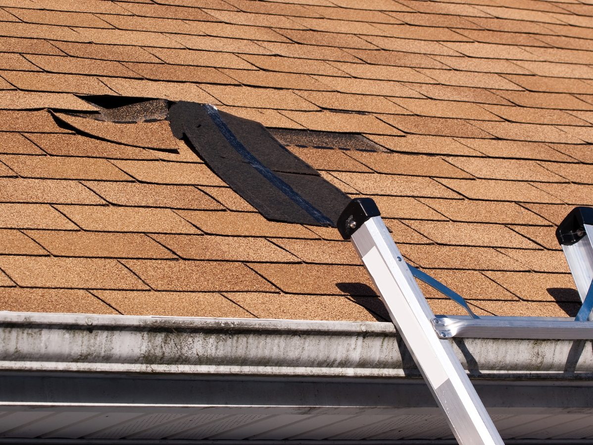 Roof with brown shingles and a ladder leaning against the eaves