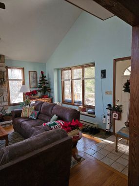 Cozy living room with a Christmas tree, garland, brown sofa, and sunlight through windows