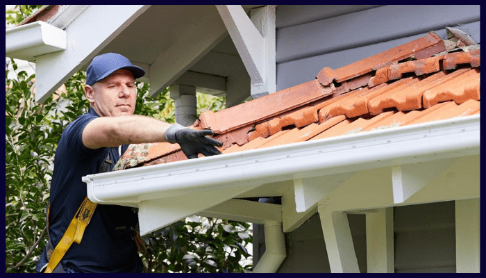 gutter and downpipe maintenance