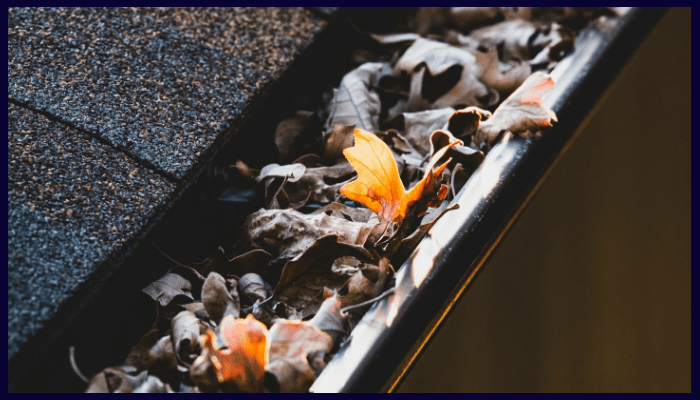 signs your gutters and downpipes need replacing in canberra's harsh weather
