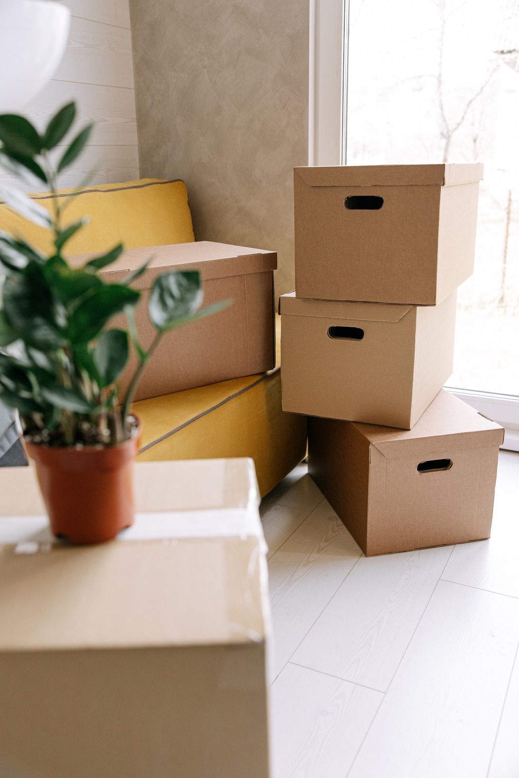 Cardboard boxes stacked near a window, next to a potted plant.