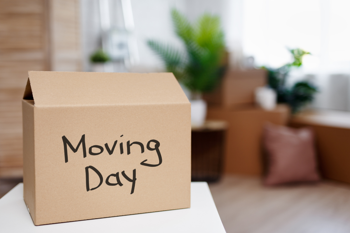 move out cleaning winnipeg