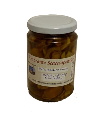 Melacampanina