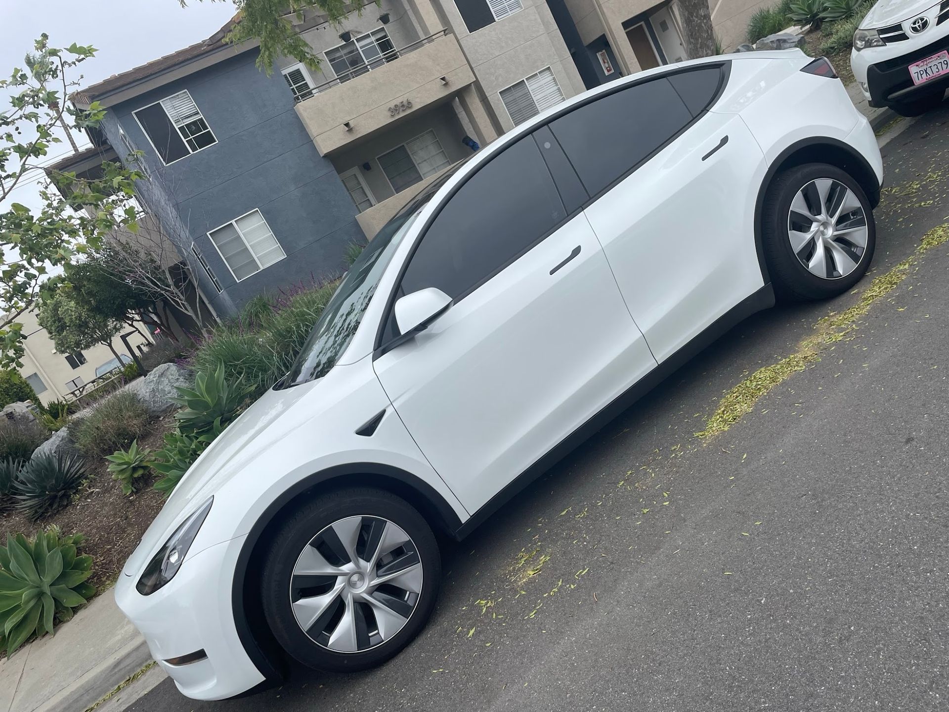 White Tesla Model Y parked on a residential street, with dark tinted windows, against a building.