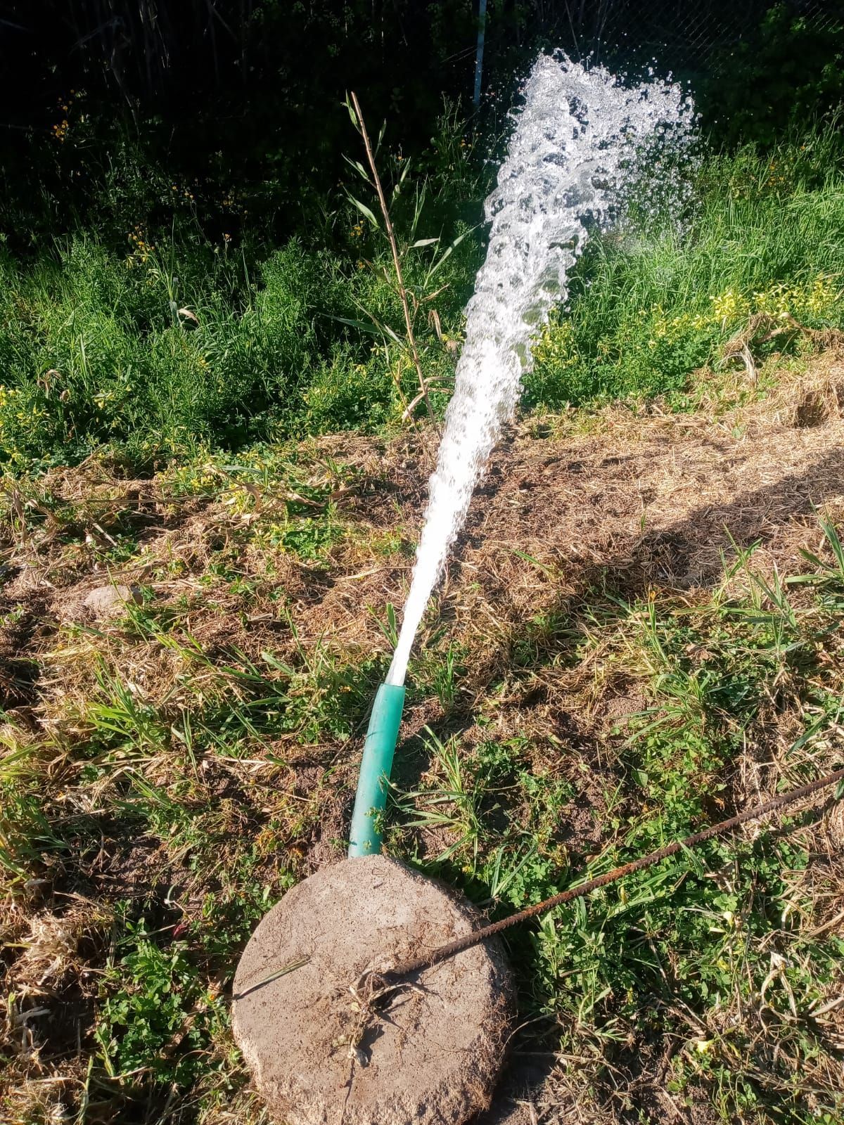 L'acqua sgorga con forza da un tubo verde incastonato in una base di cemento, spruzzandosi nell'aria. Erba verde e terreno circostante.