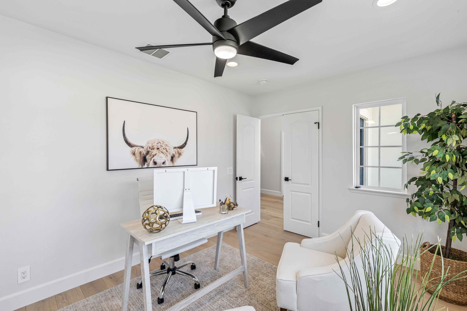 Bright home office with white desk, cow art, beige chair, ceiling fan, and potted plant