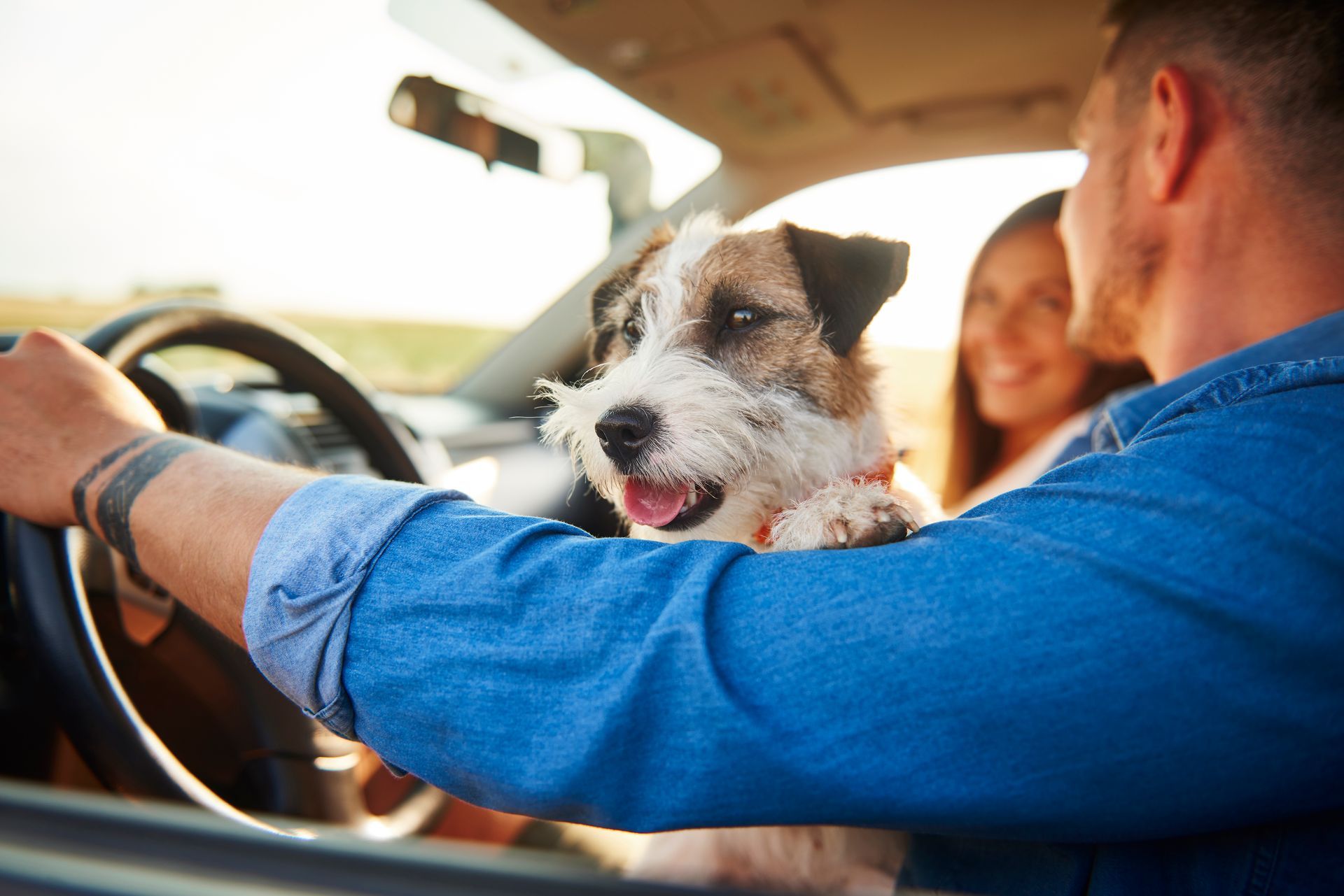A man is driving a car with a dog in the back seat.