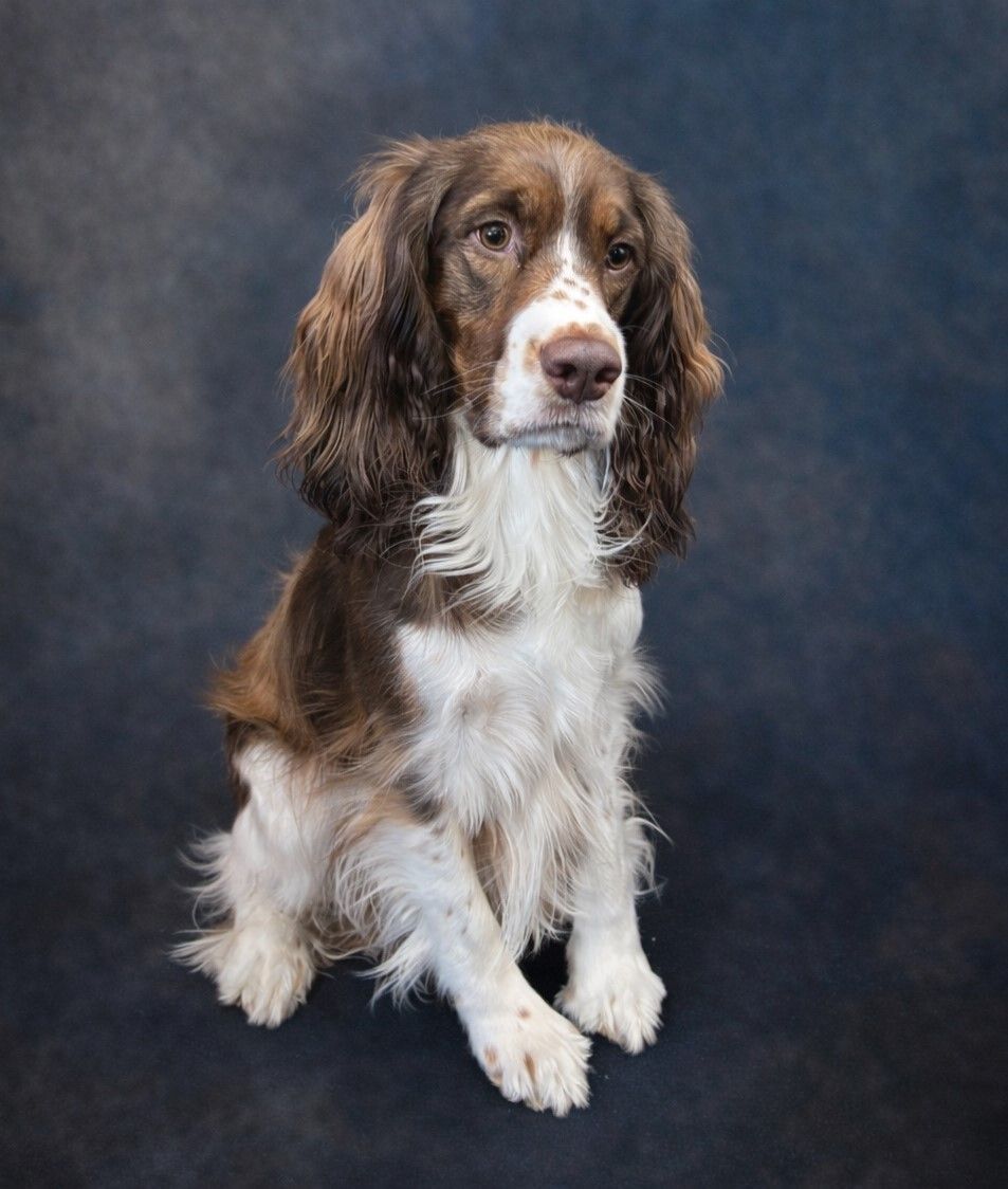 Staff Photo