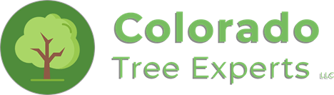 Colorado Tree Experts LLC Colorado Tree Experts LLC