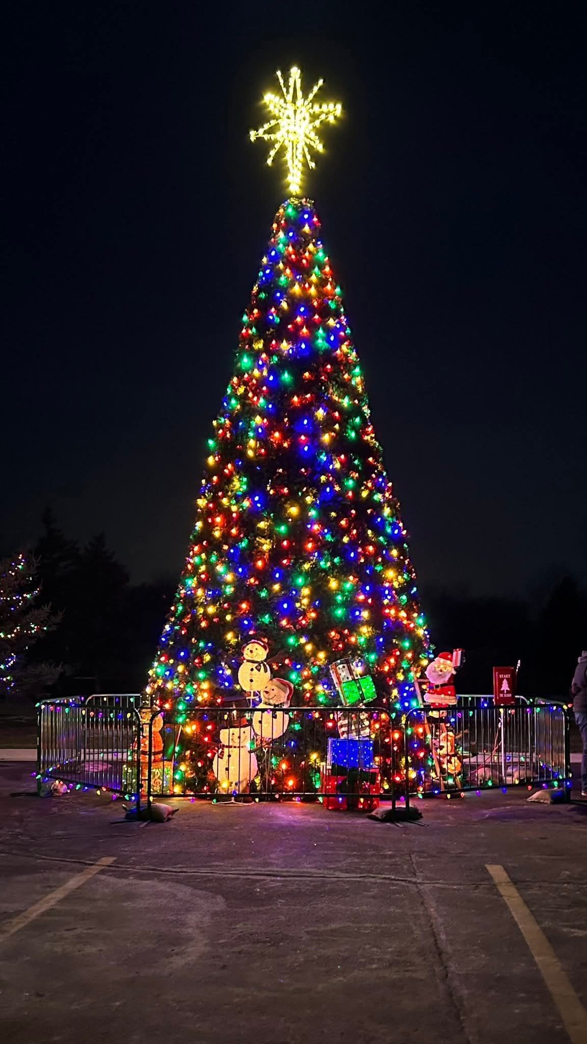 Tall Christmas tree covered in multicolored lights with a glowing star topper in a dark outdoor plaza