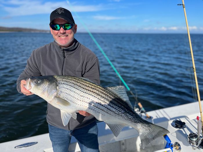 Man on a boat holding a large striped bass fish. Calm water, sunny day.