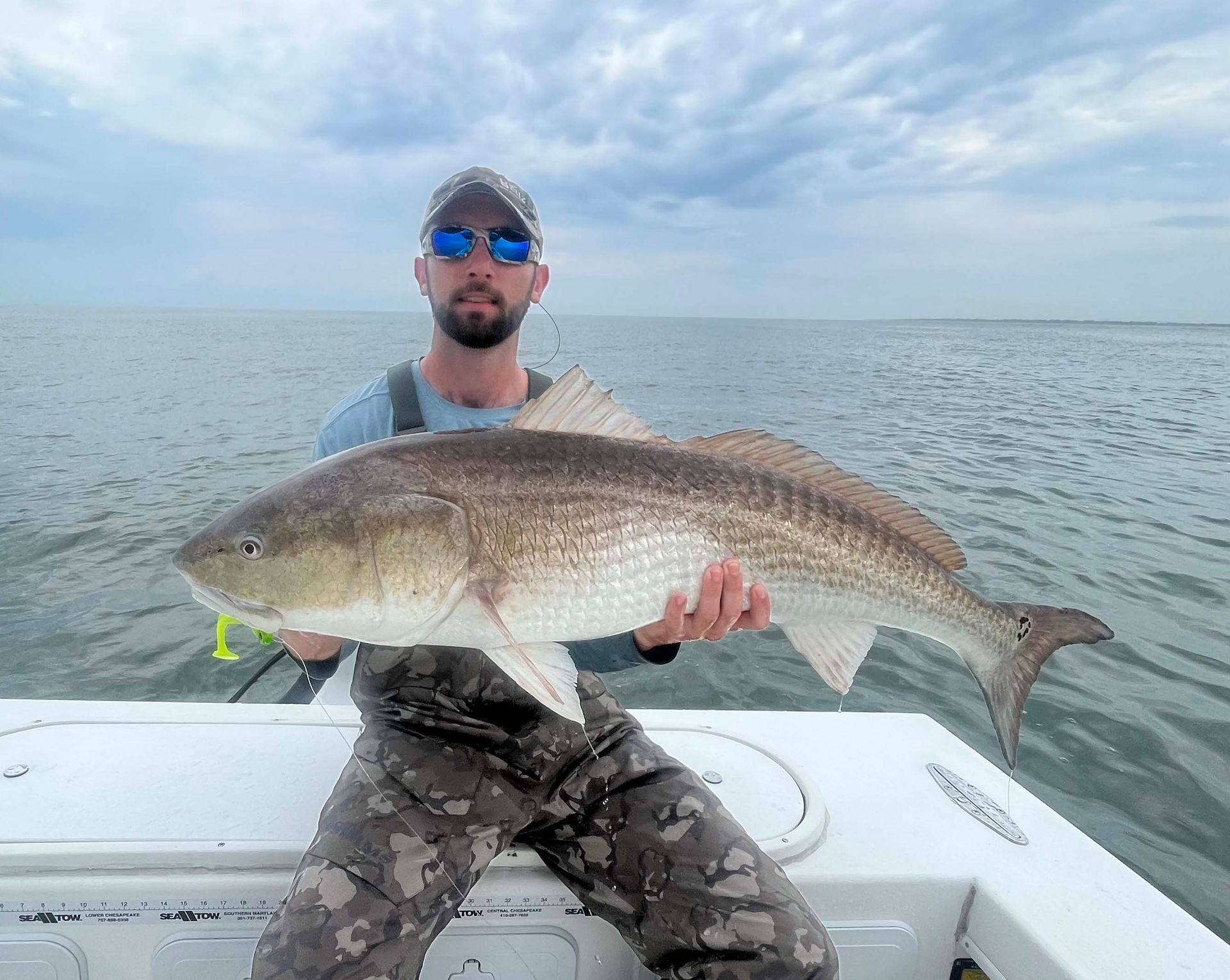 A man is sitting on a boat holding a large fish.