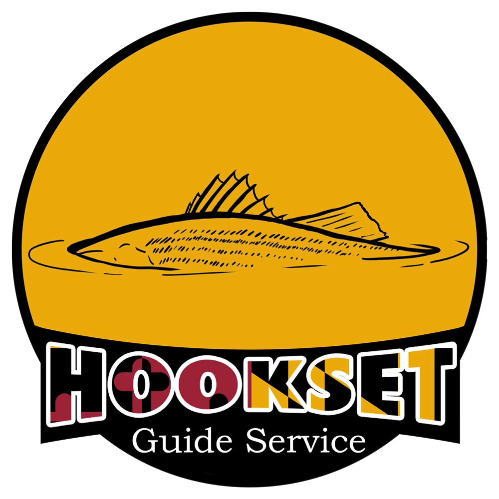 Logo: Fish breaking water, yellow circle, black lettering "HOOKSET Guide Service" with Maryland flag pattern.
