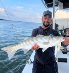 A man is holding a large fish on a boat.