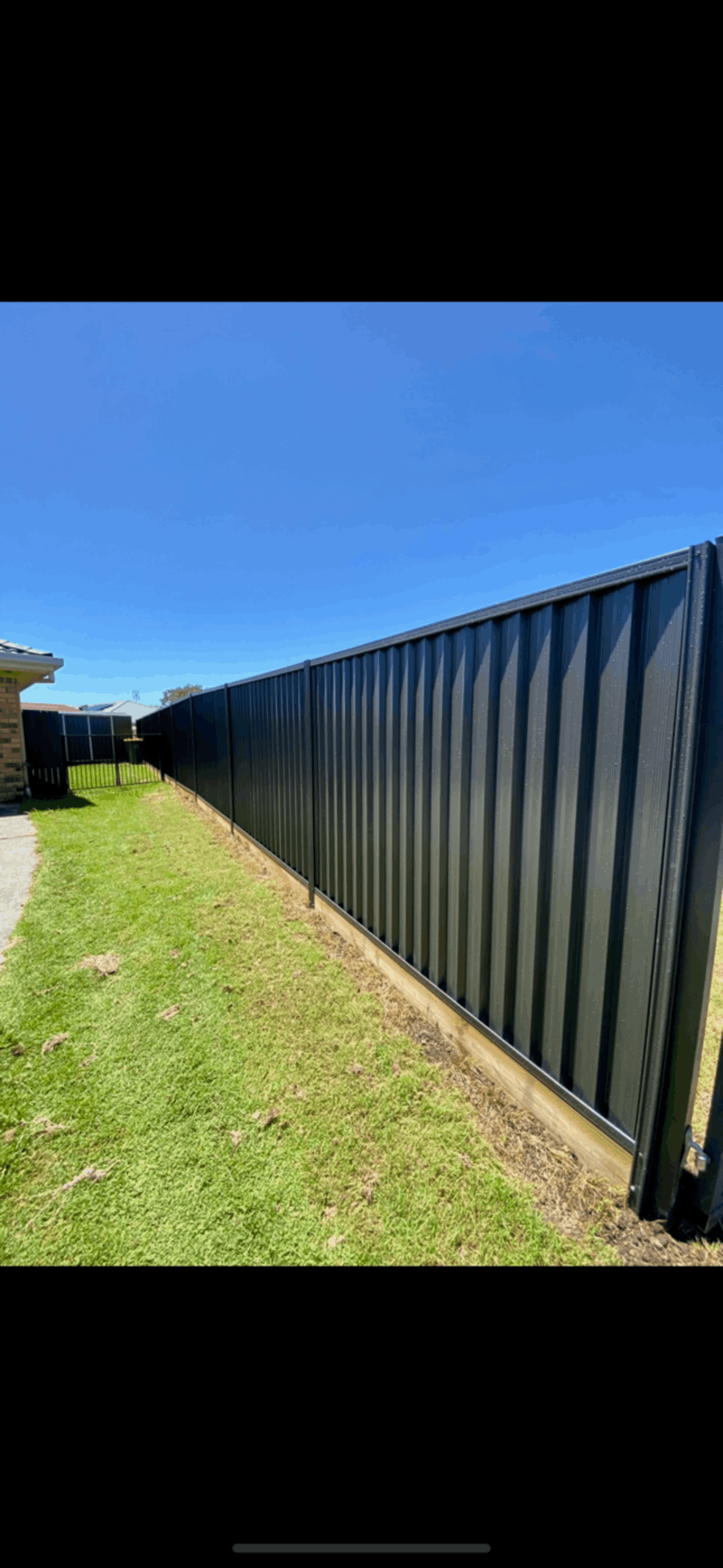 A black fence surrounds a lush green yard with palm trees.