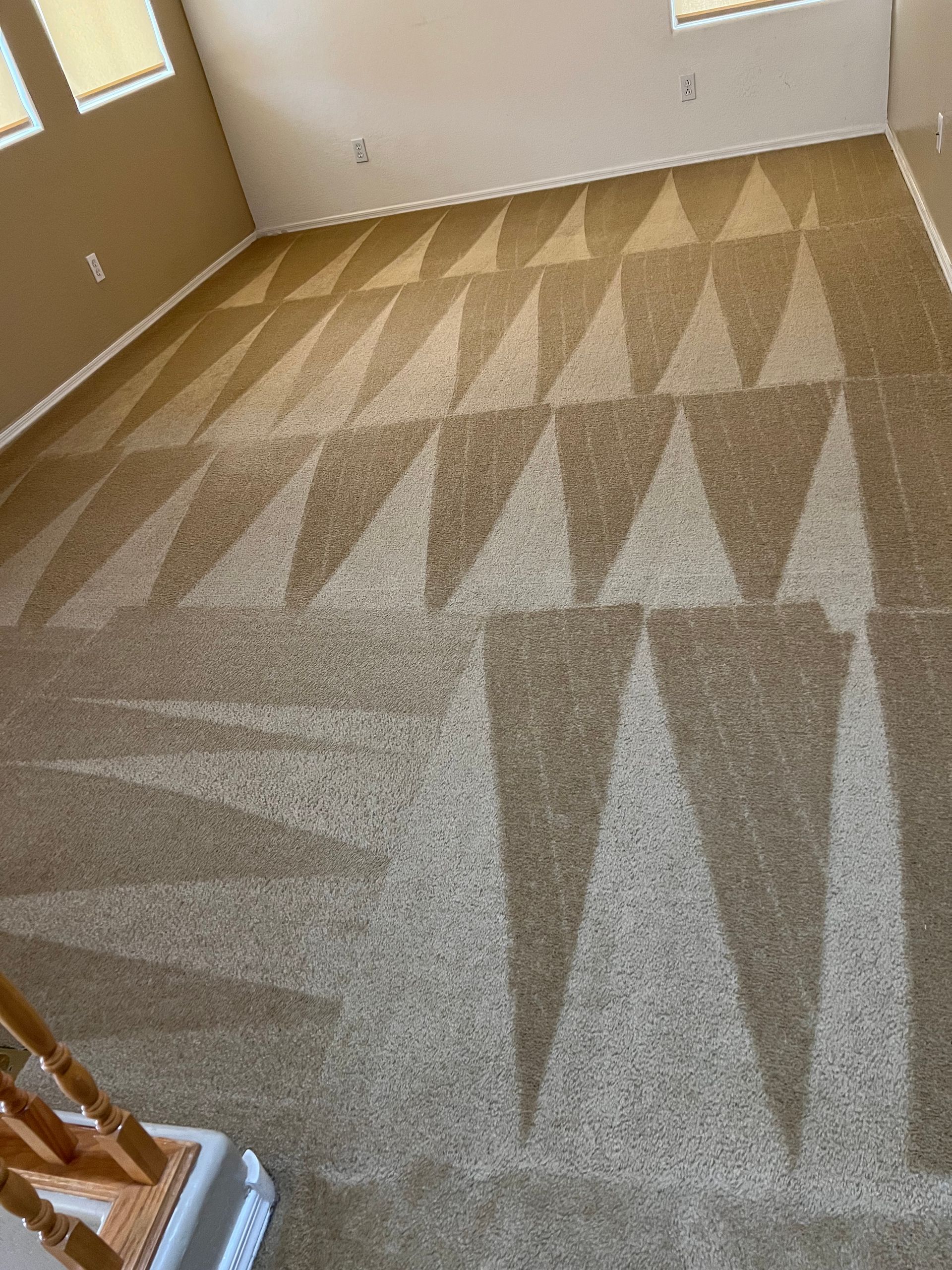 carpet cleaning before/after