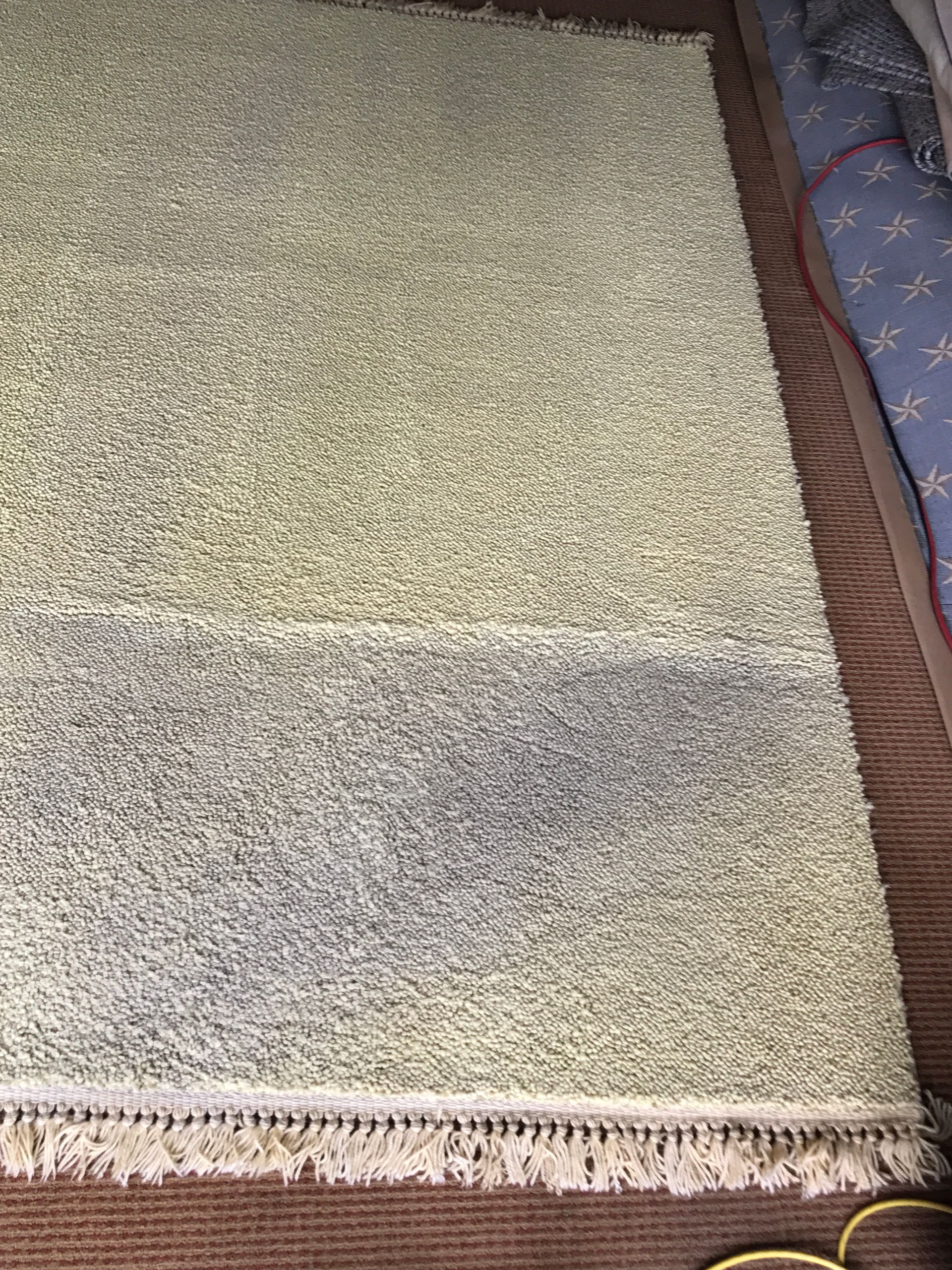 carpet cleaning before/after