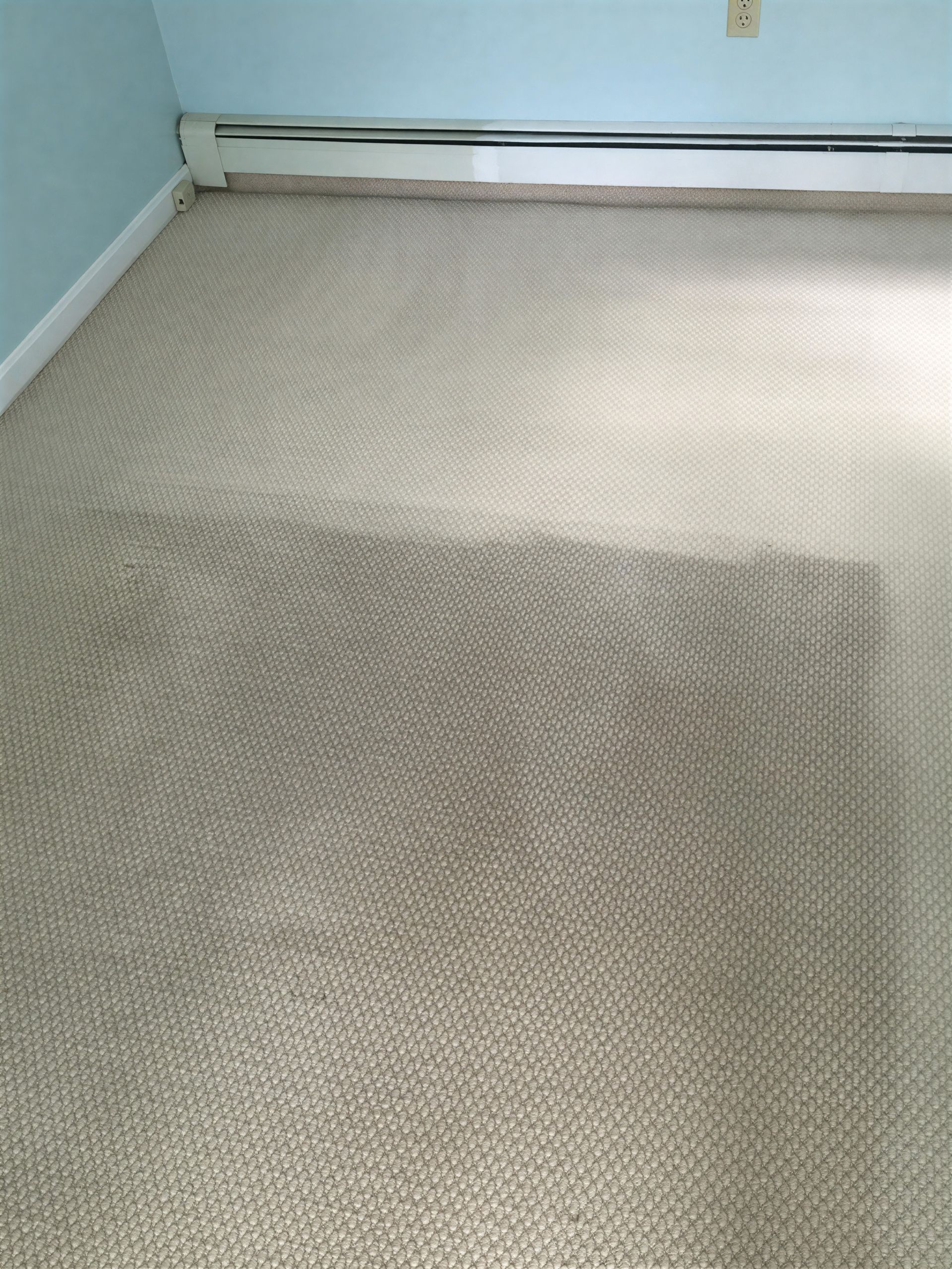 Beige carpet in a room, with a wall and baseboard visible.