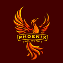 A stylized, orange and yellow phoenix emblem above the text "PHOENIX BAIL BONDS" on a dark red background.