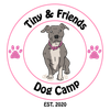 TinyAndFriendsDogCamp