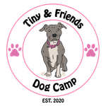 TinyAndFriendsDogCamp
