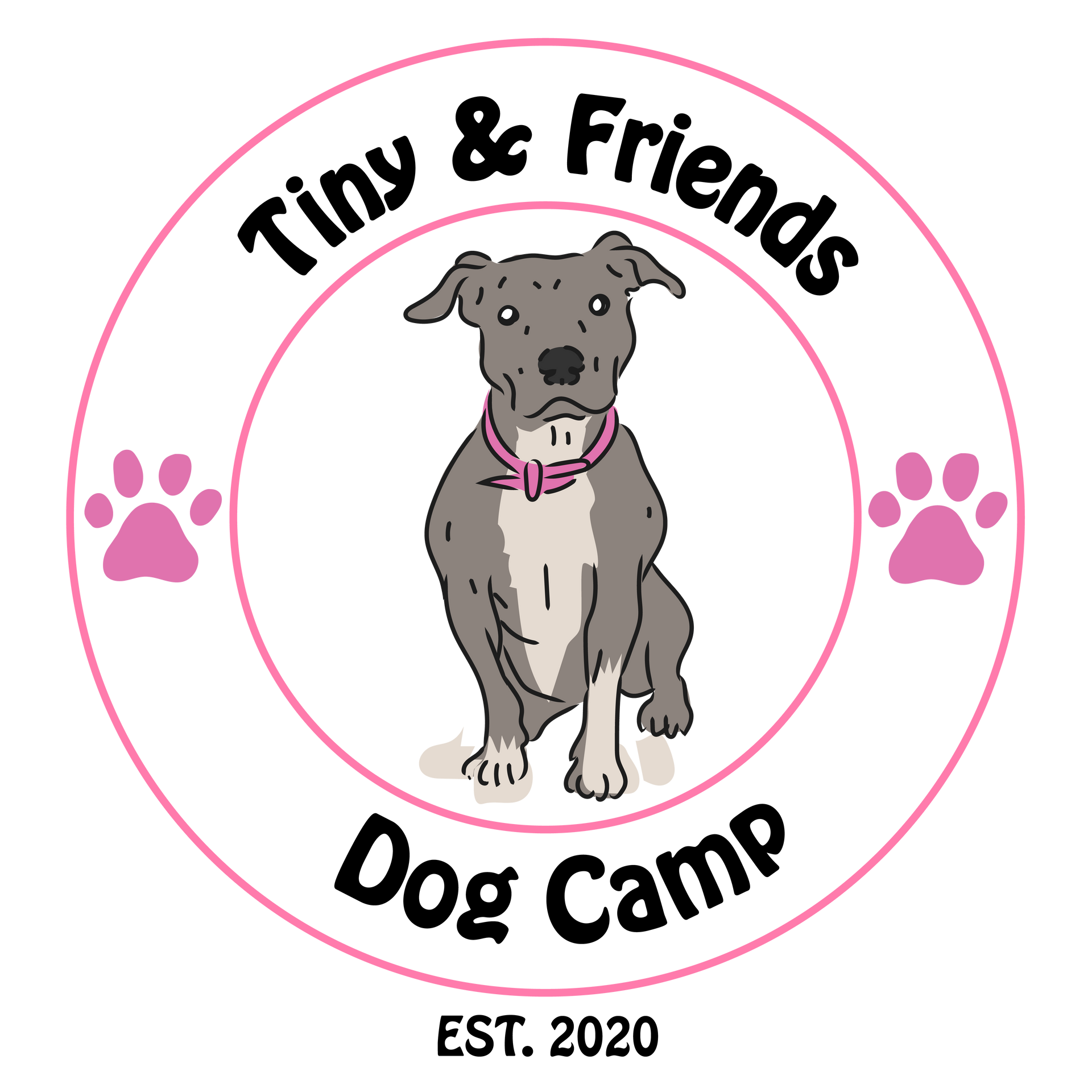 TinyAndFriendsDogCamp