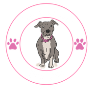 TinyAndFriendsDogCamp