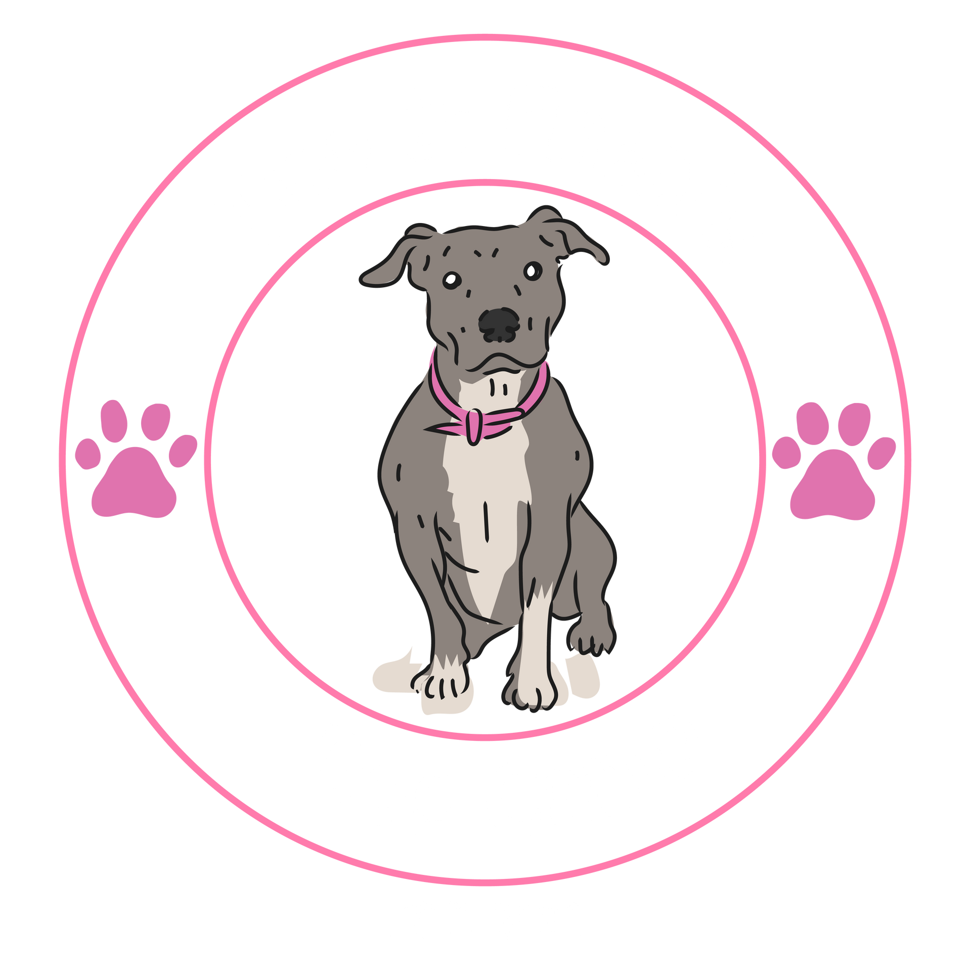 TinyAndFriendsDogCamp