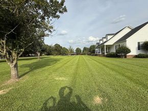 Grassy backyard beside white houses and trees under a partly cloudy sky