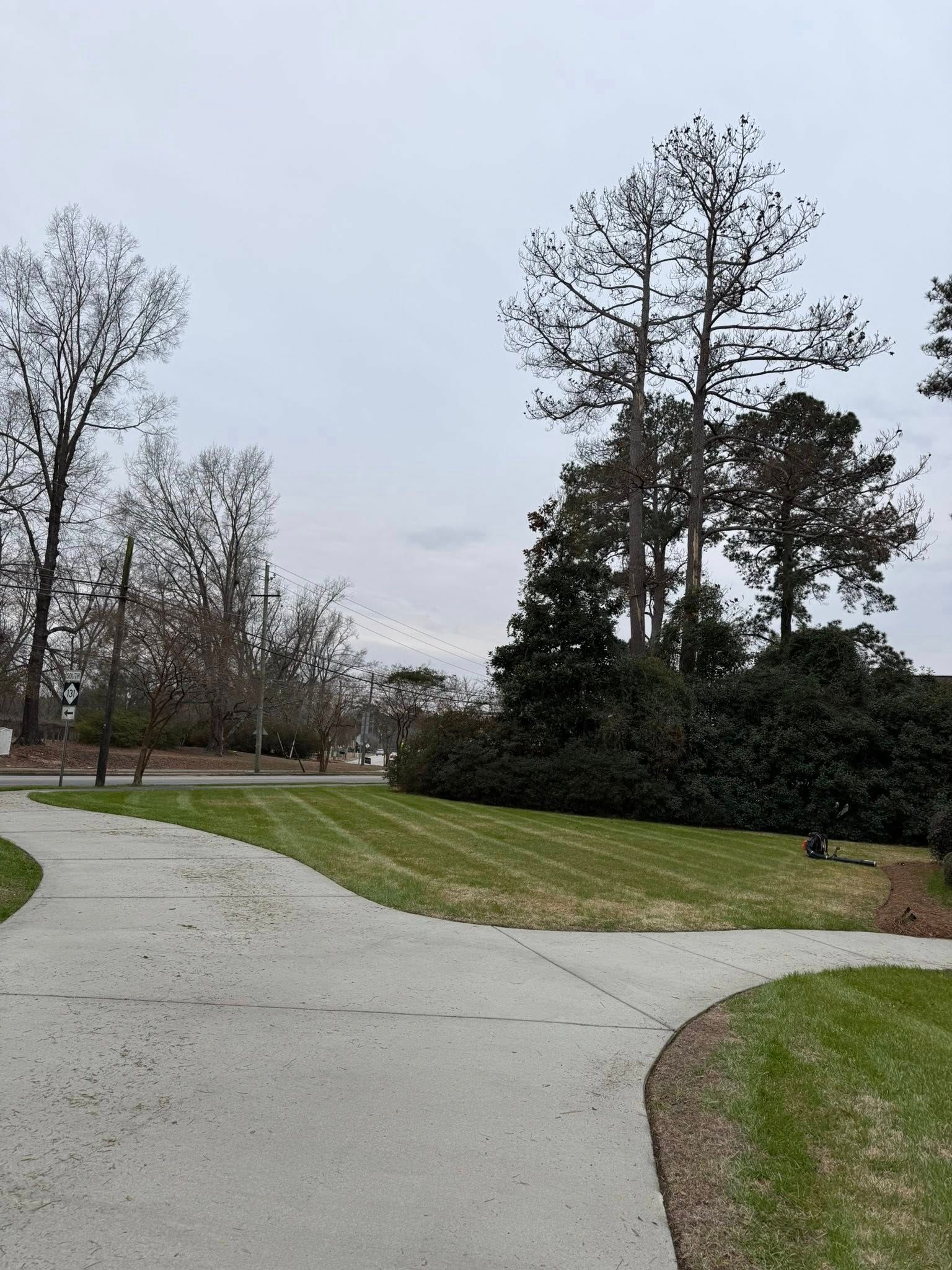 Curving gravel path through a grassy park with bare trees under an overcast sky
