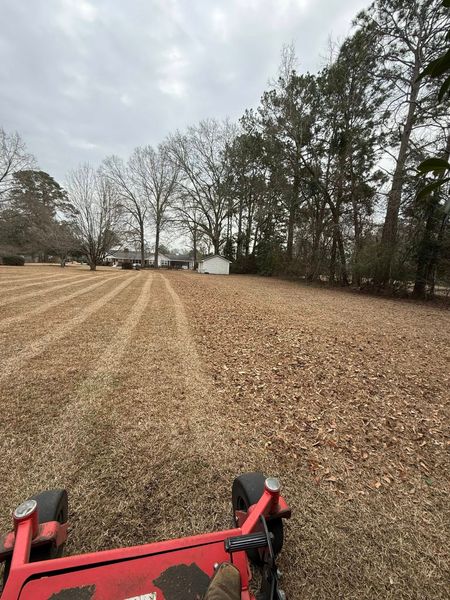 Red lawn mower view over a leaf-covered yard with trees and a small shed ahead under an overcast sky