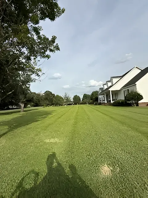 Wide grassy lawn beside white houses under a partly cloudy sky, viewed from a sidewalk path.