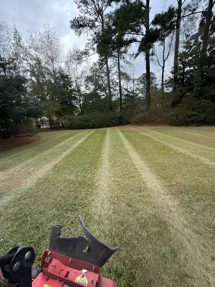 Lawn mower view of a striped grassy yard bordered by trees and shrubs