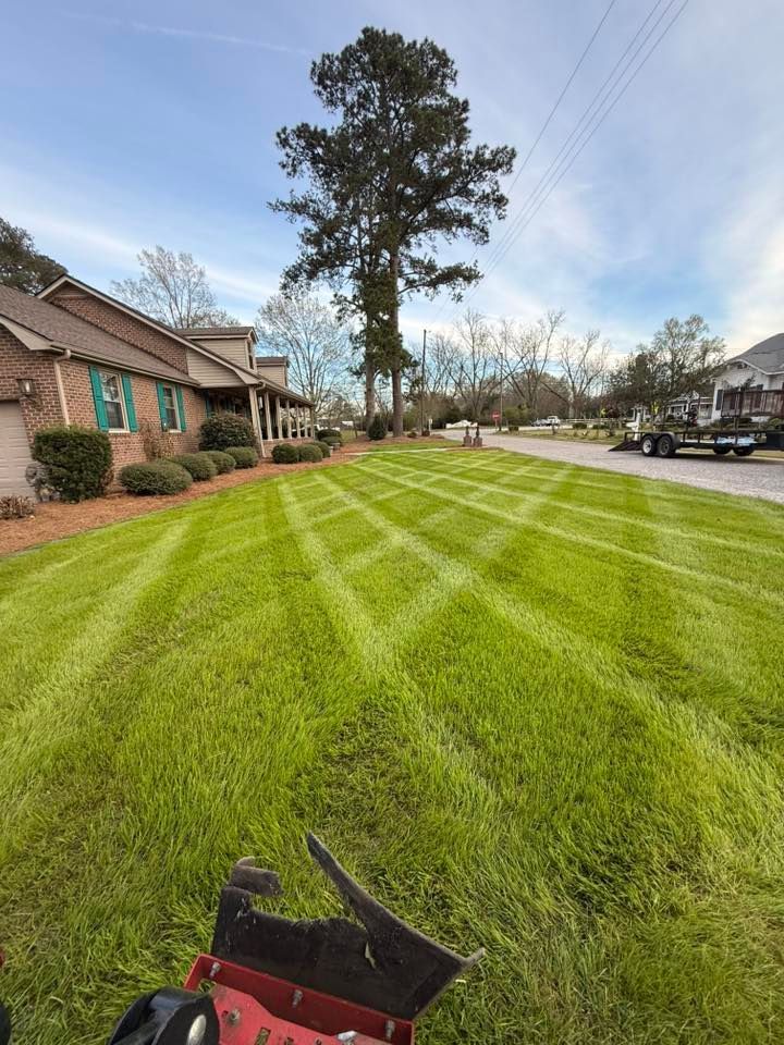 Freshly mowed green lawn beside suburban houses, with a tall tree and a lawnmower in the foreground.
