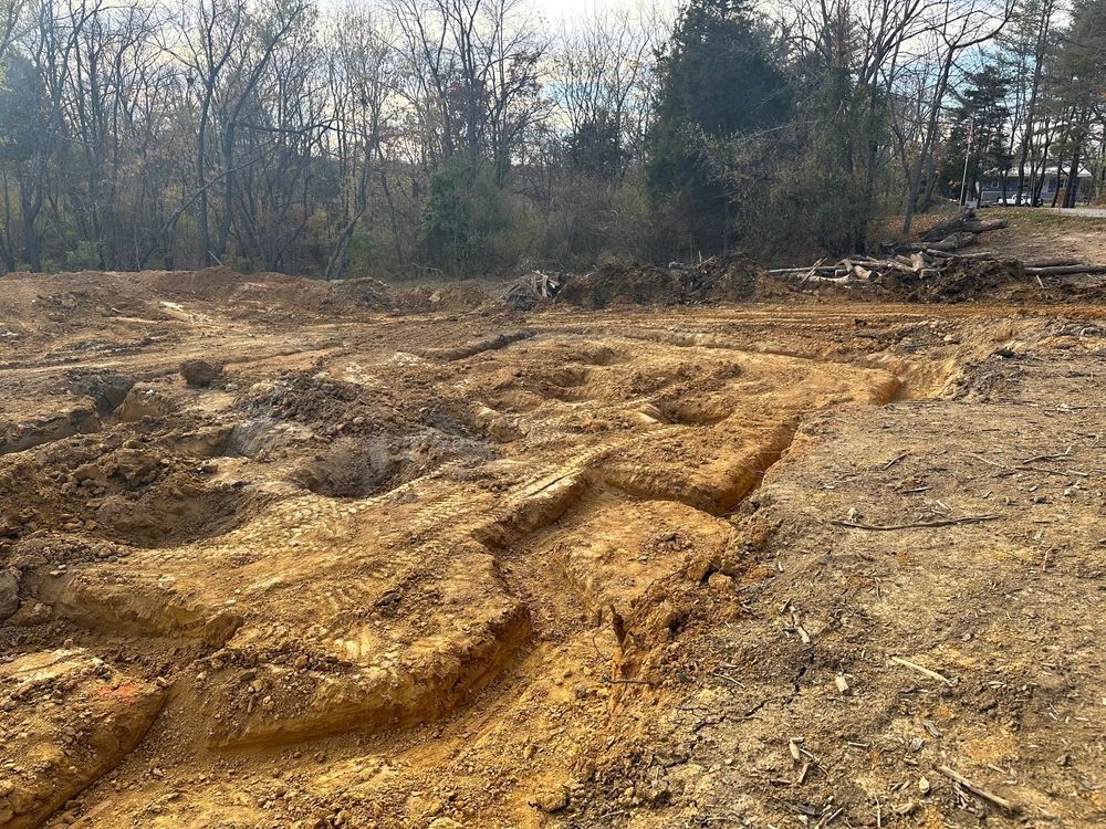 Rutted, muddy dirt field with exposed trenches and leafless trees in the background