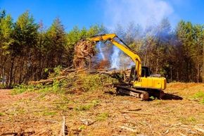 Yellow excavator clearing a wooded area, lifting debris amid dust and trees