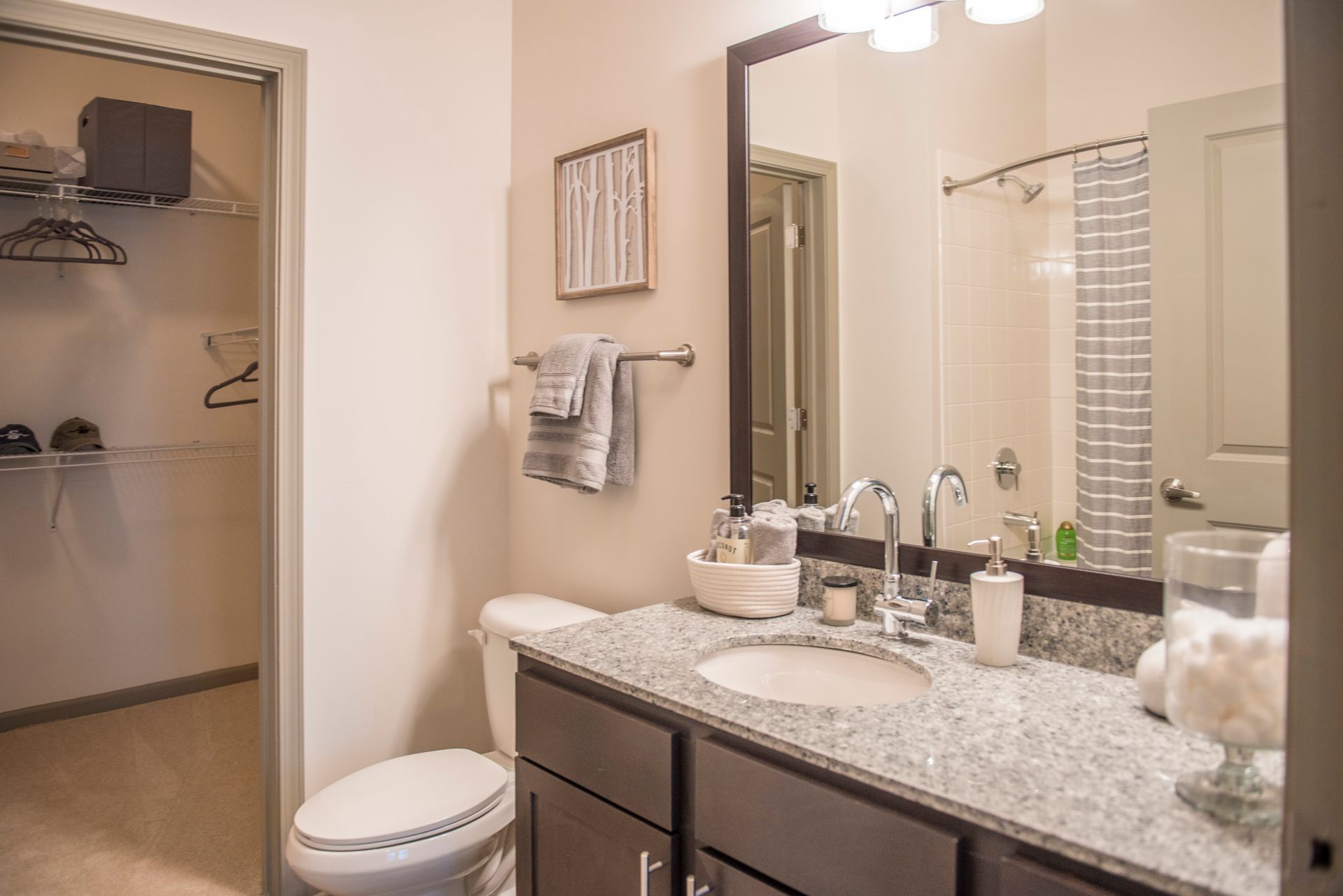 Bathroom with granite countertop, sink, toilet, mirror, closet at Ironwood Apartment Homes.