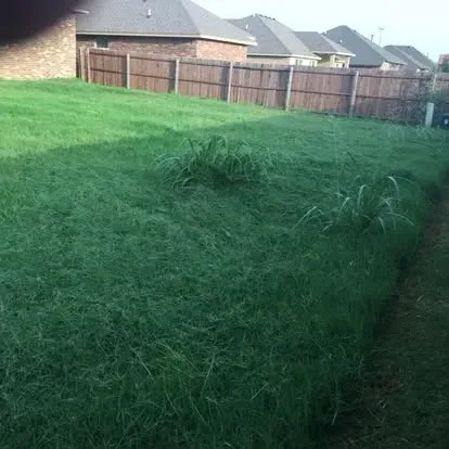 Clean and striped lawn after professional mowing service