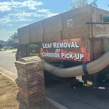 Backyard leaf removal service in OKC