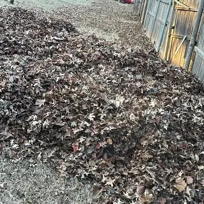 Leaf removal service in Oklahoma City OK