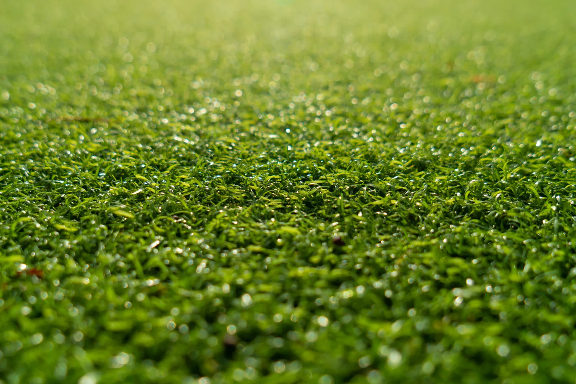 Residential artificial lawn installed in OKC