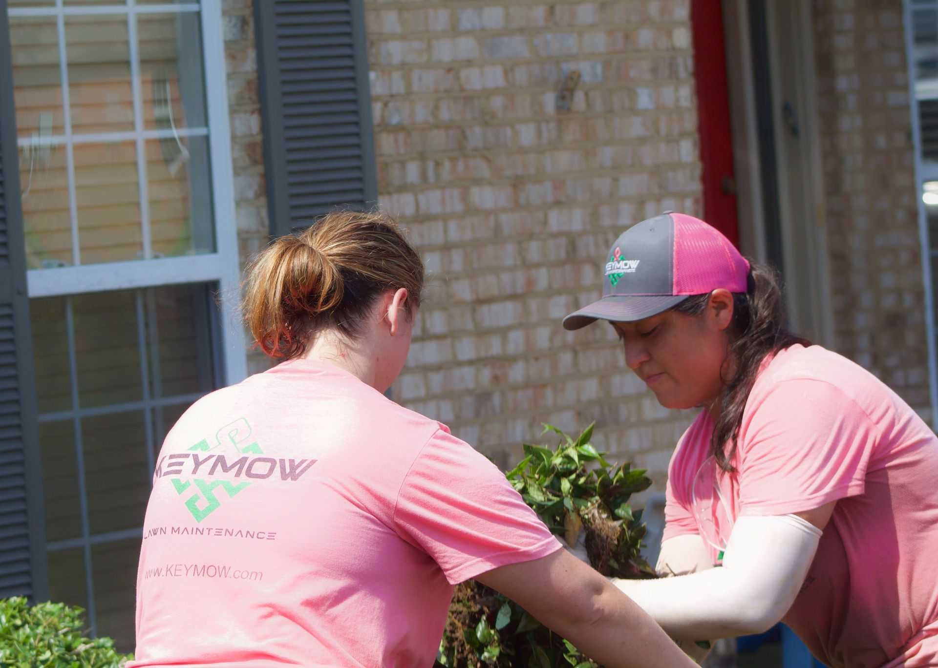 Two people in pink shirts and a cap carrying a potted plant outside a brick house