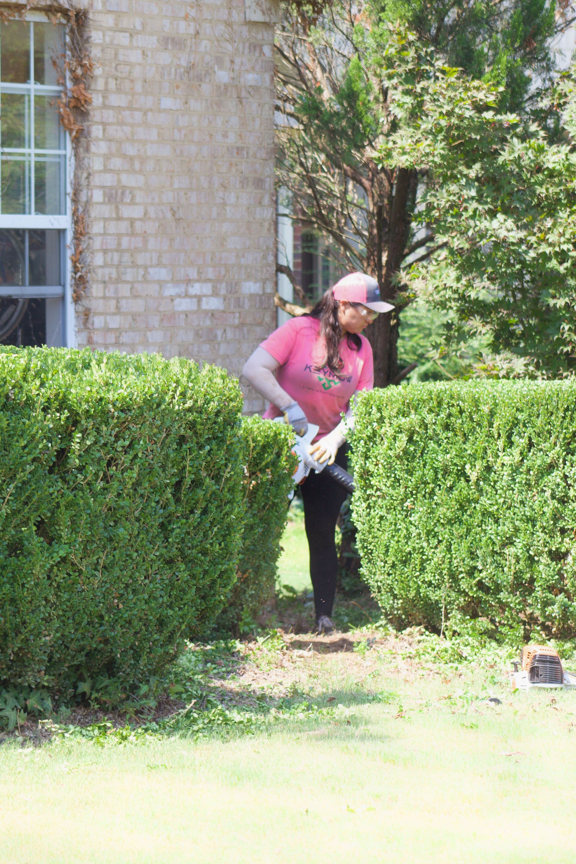 Person in pink shirt and cap trimming a hedge in a sunny yard beside a brick house.