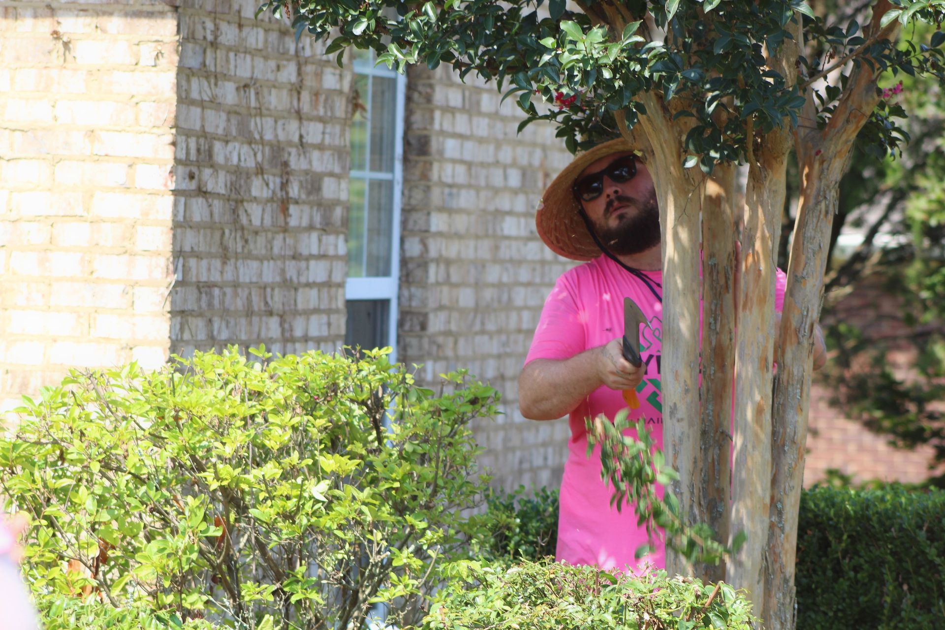 Person in a bright pink shirt peeks from behind a tree in a sunny garden by a stone house